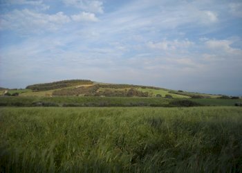 Foto 2 - Terreno edificabile via is arzolas, Narbolia - foto 2