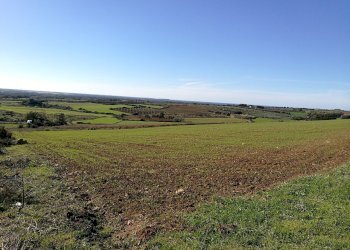 Foto 3 - Terreno edificabile via is arzolas, Narbolia - foto 3