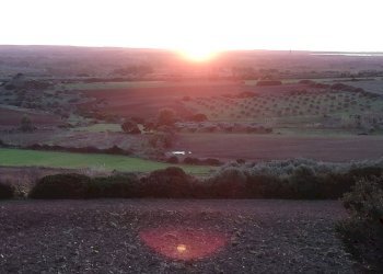 Foto 4 - Terreno edificabile via is arzolas, Narbolia - foto 4