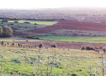 Foto 5 - Terreno edificabile via is arzolas, Narbolia - foto 5