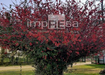 Foto 24 - Appartamento VIALE VITTORIO VENETO, Treviso - foto 24