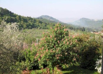 Foto 14 - Independent house Fiesole - photo 14