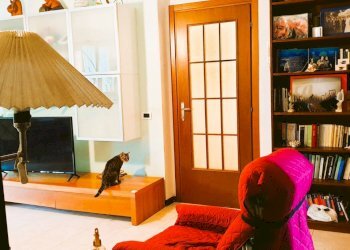 Foto 6 - Casa semi indipendente Montevarchi - foto 6