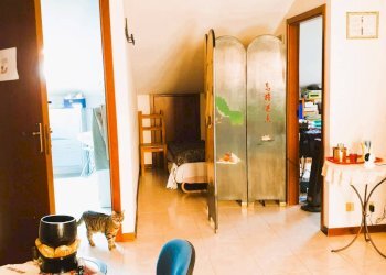 Foto 26 - Casa semi indipendente Montevarchi - foto 26