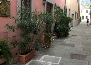 Foto 7 - Appartamento Marciana Marina - foto 7