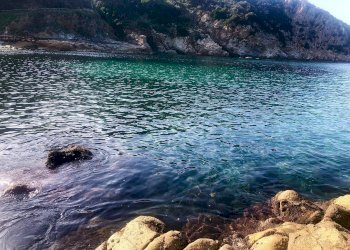 Foto 9 - Appartamento Marciana Marina - foto 9