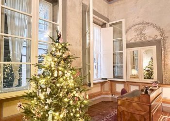 Foto 12 - Appartamento Firenze - foto 12