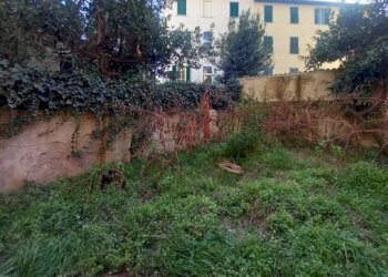 Foto 13 - Casa semi indipendente Firenze - foto 13