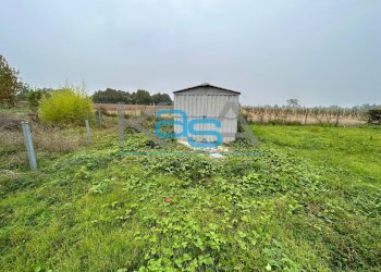 Foto 6 - Terreno edificabile VIA QUINTAVALLE, Carbonera - foto 6