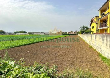 Foto 3 - Terreno edificabile ZONA UFFICIO POSTALE, San Tammaro - foto 3