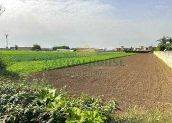 Foto 4 - Terreno edificabile ZONA UFFICIO POSTALE, San Tammaro - foto 4