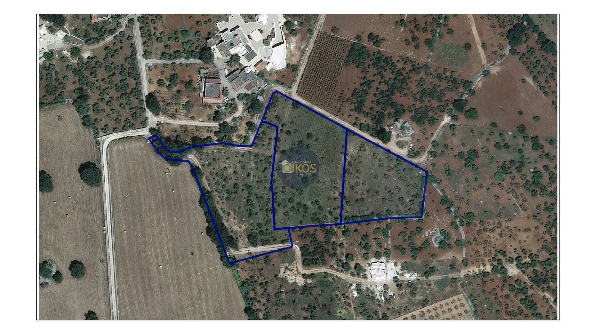 Foto 41 - Terreno agricolo Contrada Romanazzi, Monopoli - planimetria 1