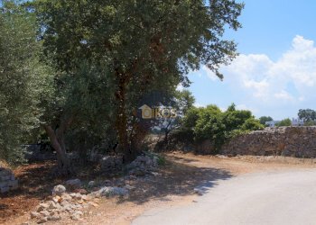 Foto 33 - Terreno agricolo Contrada Romanazzi, Monopoli - foto 33