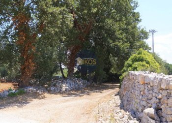 Foto 34 - Terreno agricolo Contrada Romanazzi, Monopoli - foto 34