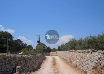 Foto 36 - Terreno agricolo Contrada Romanazzi, Monopoli - foto 36