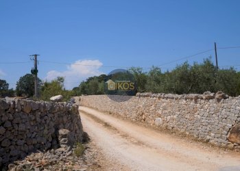 Foto 37 - Terreno agricolo Contrada Romanazzi, Monopoli - foto 37