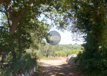 Foto 40 - Terreno agricolo Contrada Romanazzi, Monopoli - foto 40