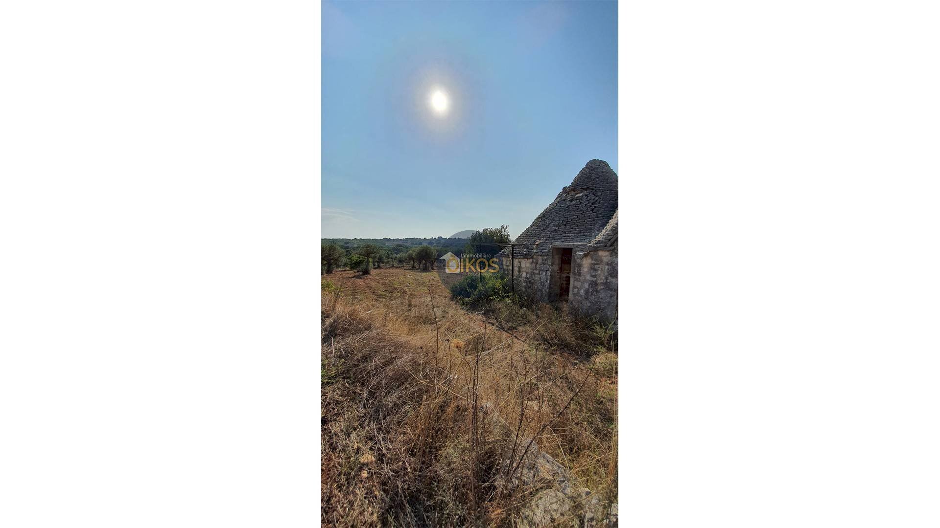 Foto 1 - Terreno agricolo Contrada Cervarulo
 
snc, Monopoli - foto 1