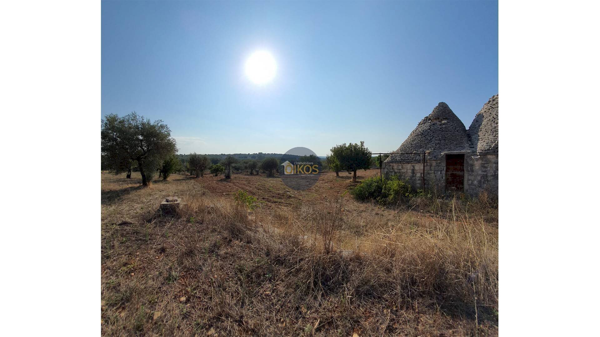 Foto 2 - Terreno agricolo Contrada Cervarulo
 
snc, Monopoli - foto 2