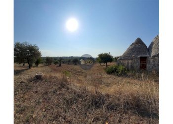 Foto 2 - Terreno agricolo Contrada Cervarulo
 
snc, Monopoli - foto 2