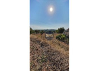 Foto 6 - Terreno agricolo Contrada Cervarulo
 
snc, Monopoli - foto 6