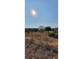 Foto 8 - Terreno agricolo Contrada Cervarulo
 
snc, Monopoli - foto 8