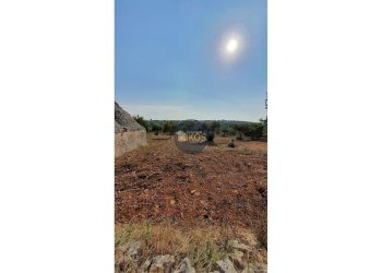 Foto 9 - Terreno agricolo Contrada Cervarulo
 
snc, Monopoli - foto 9