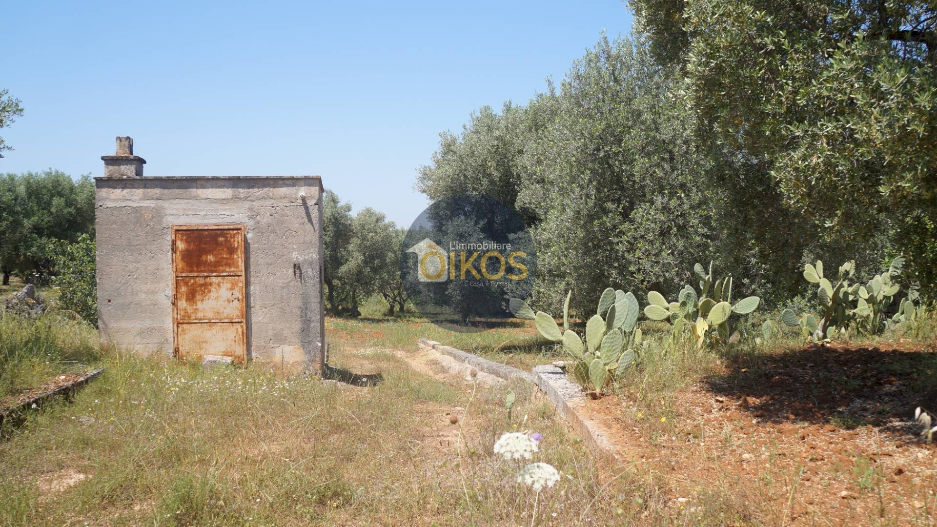 Foto 1 - Terreno agricolo contrada masciola, Fasano - foto 1