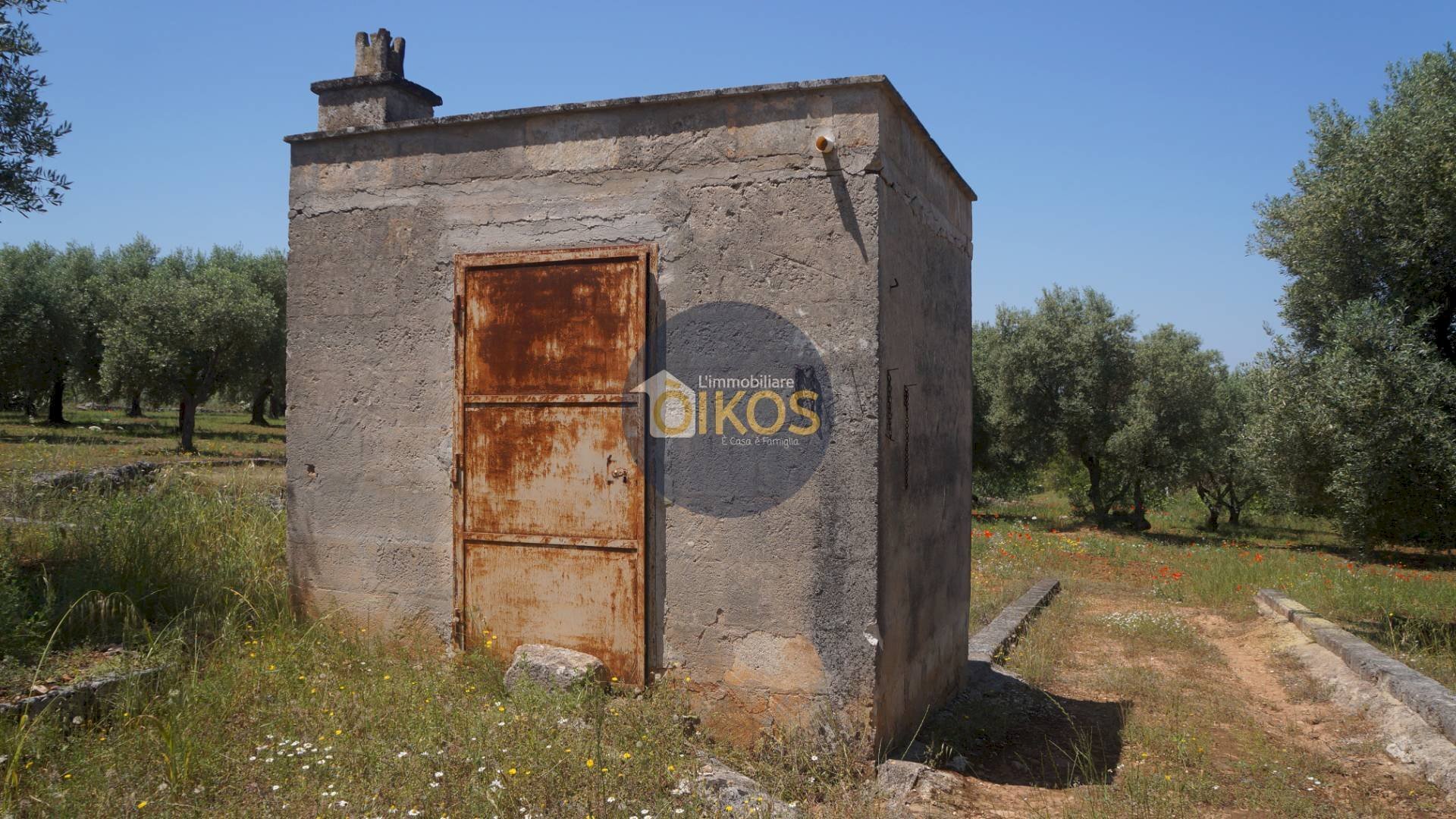 Foto 2 - Terreno agricolo contrada masciola, Fasano - foto 2