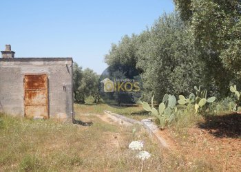 Foto 1 - Terreno agricolo contrada masciola, Fasano - foto 1