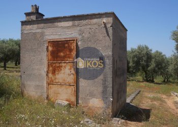 Foto 2 - Terreno agricolo contrada masciola, Fasano - foto 2