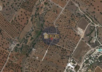 Foto 17 - Terreno agricolo contrada masciola, Fasano - foto 17