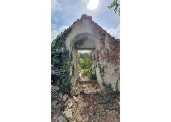 Foto 14 - Rustico via Colucci, Alberobello - foto 14