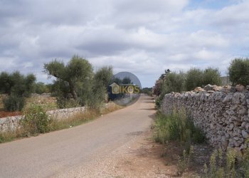 Foto 22 - Rustico via Colucci, Alberobello - foto 22