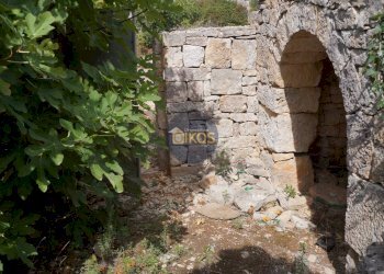 Foto 38 - Rustico via Colucci, Alberobello - foto 38