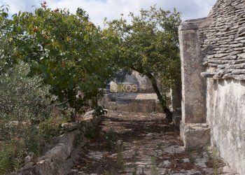 Foto 41 - Rustico via Colucci, Alberobello - foto 41