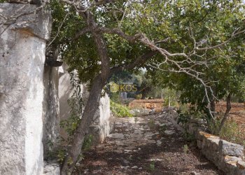 Foto 47 - Rustico via Colucci, Alberobello - foto 47