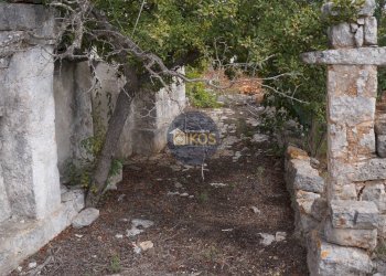 Foto 48 - Rustico via Colucci, Alberobello - foto 48