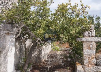 Foto 49 - Rustico via Colucci, Alberobello - foto 49