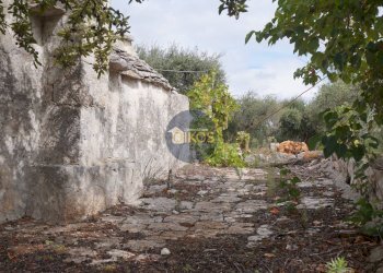 Foto 53 - Rustico via Colucci, Alberobello - foto 53