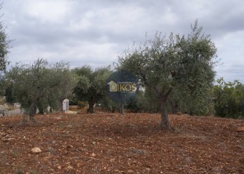 Foto 60 - Rustico via Colucci, Alberobello - foto 60