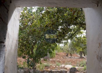 Foto 69 - Rustico via Colucci, Alberobello - foto 69