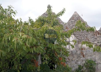 Foto 78 - Rustico via Colucci, Alberobello - foto 78