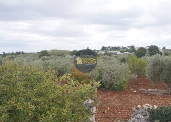 Foto 82 - Rustico via Colucci, Alberobello - foto 82