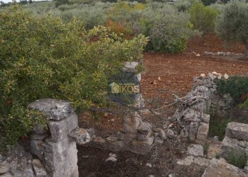 Foto 84 - Rustico via Colucci, Alberobello - foto 84