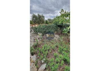 Foto 94 - Rustico via Colucci, Alberobello - foto 94