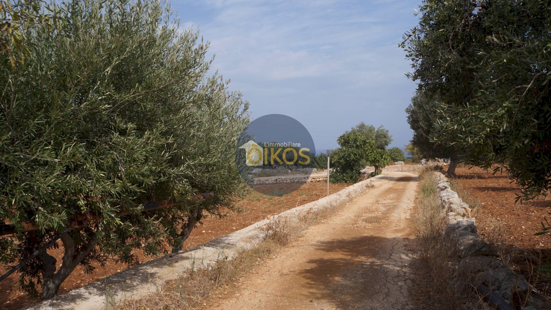 Foto 1 - Terreno agricolo Strada Comunale Fusella, Polignano a Mare - foto 1