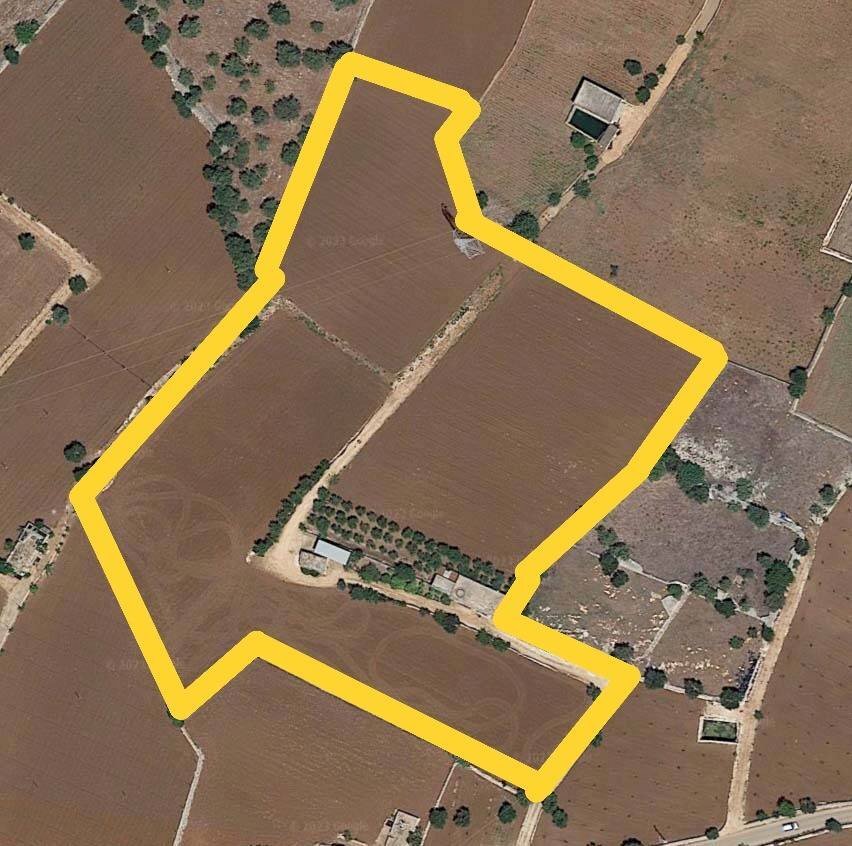 Foto 51 - Terreno agricolo Strada Comunale Fusella, Polignano a Mare - planimetria 1