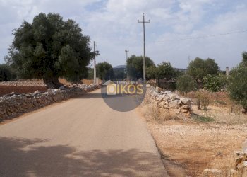 Foto 3 - Terreno agricolo Strada Comunale Fusella, Polignano a Mare - foto 3