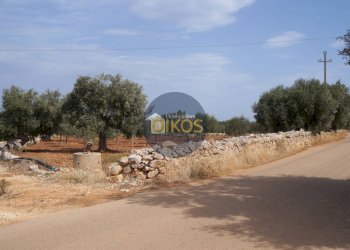 Foto 4 - Terreno agricolo Strada Comunale Fusella, Polignano a Mare - foto 4
